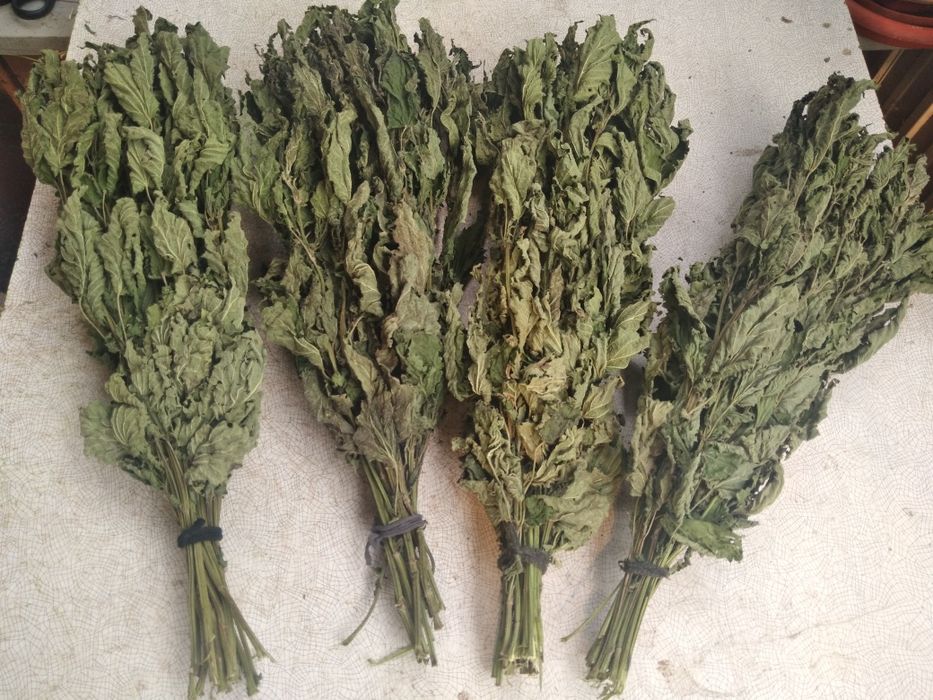 Хобби отдых спорт віники баня сауна м'ята  полин