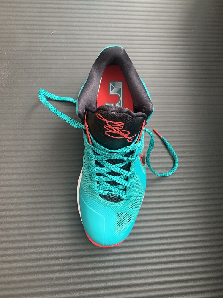 Nike lebron 9 low