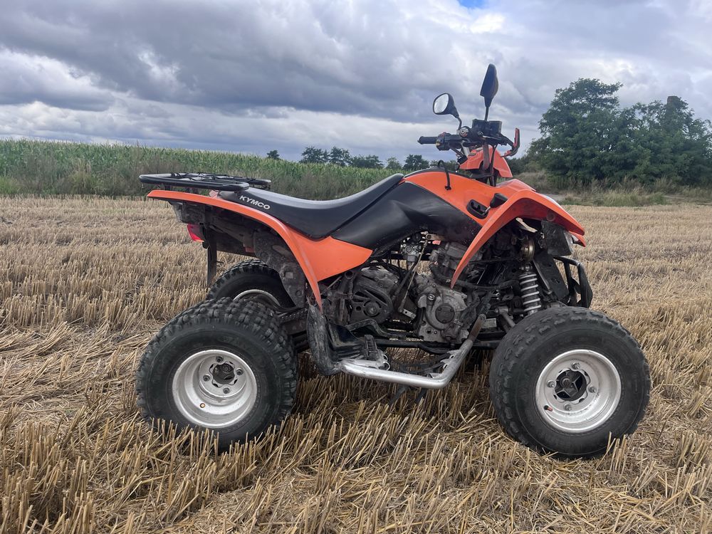 Kymco maxxer 300 L7e