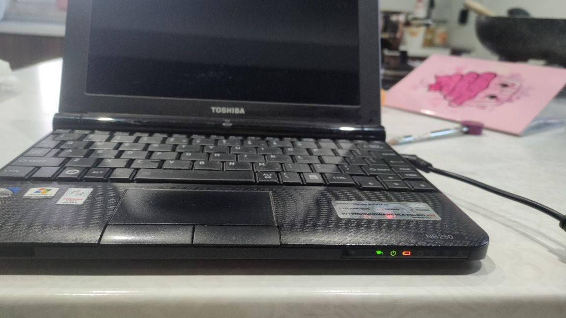 Laptop Toshiba nb250-101