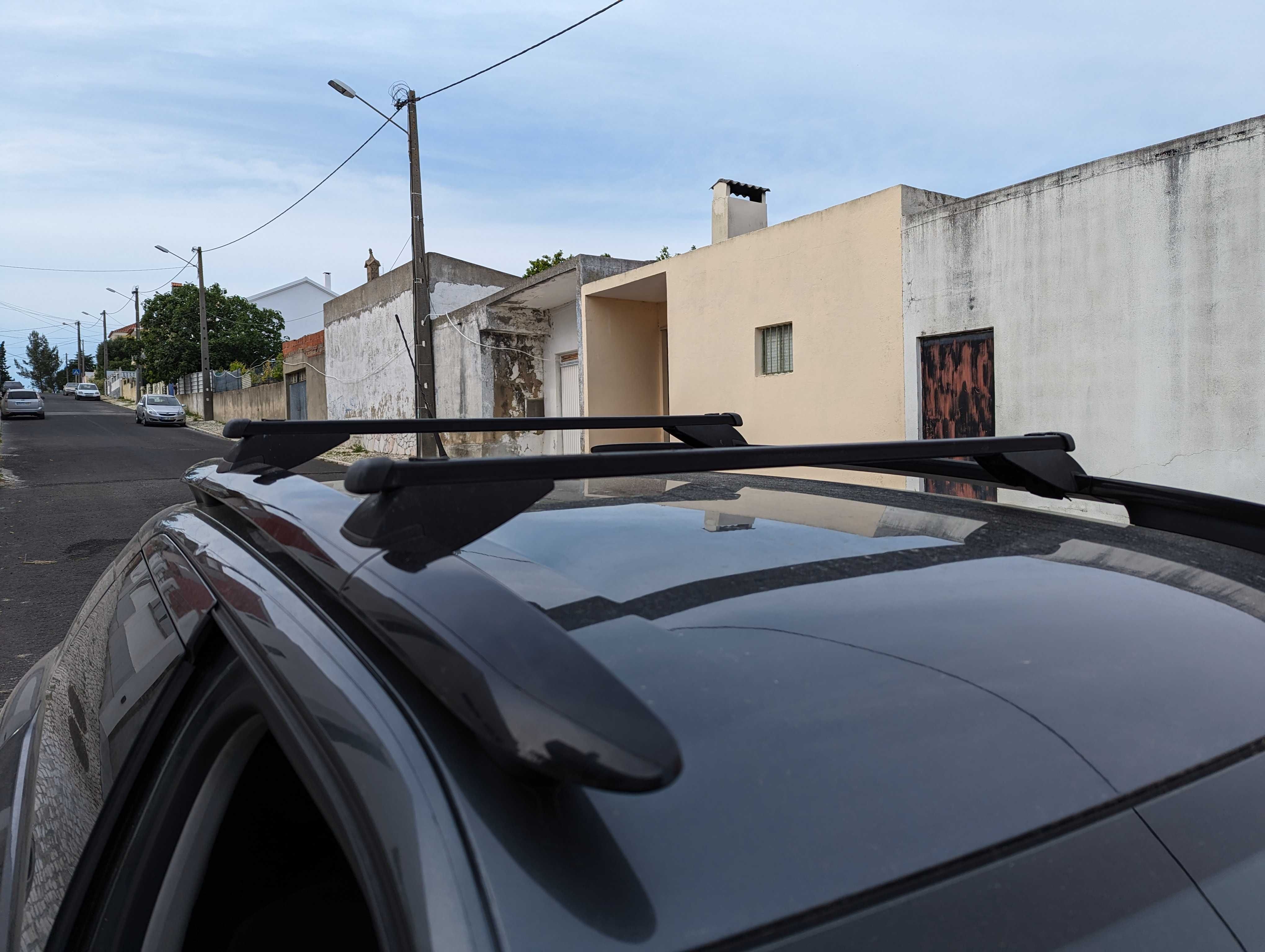 Barras tejadilho Citroen C4 cactus