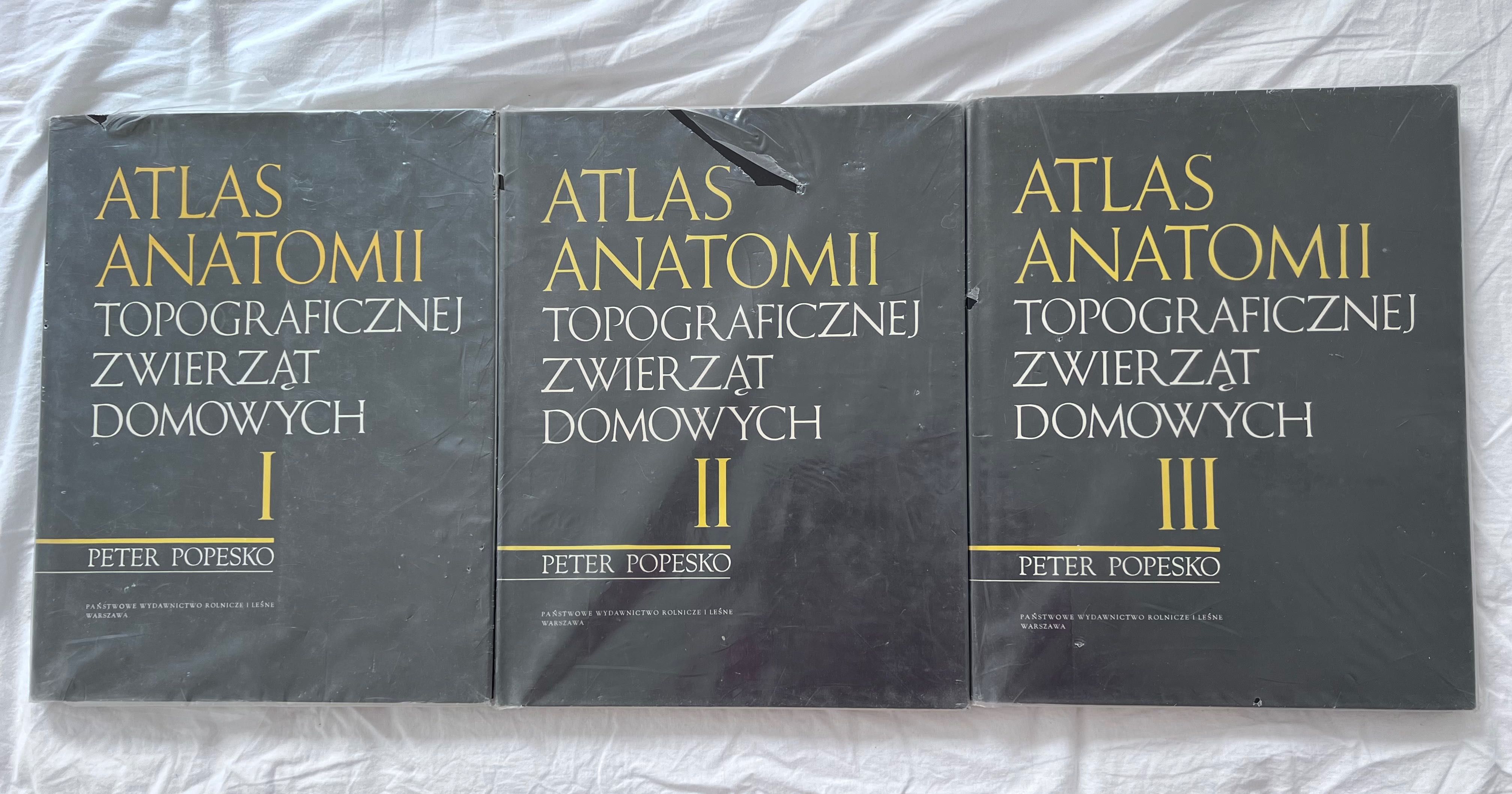 Atlas anatomii zwierząt Popesko