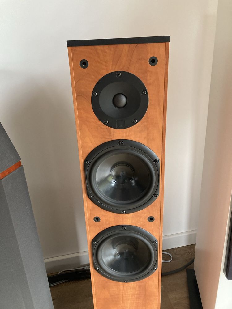 Dali Suite 2.5 kolumny podlogowe