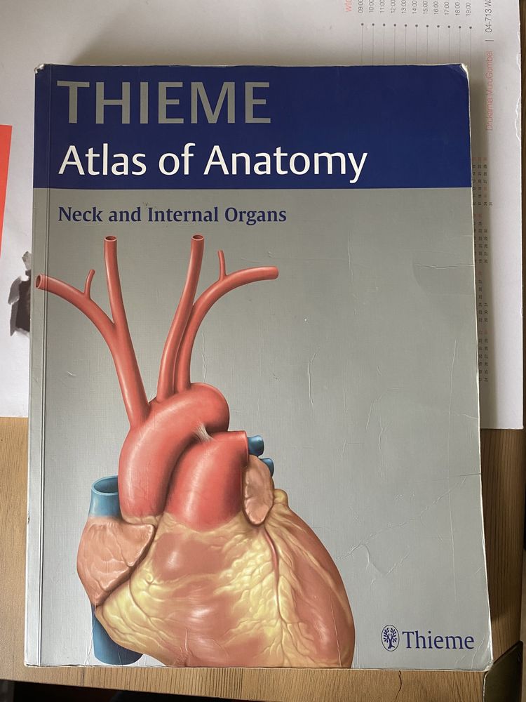 Thieme - Atlas of Anatomy