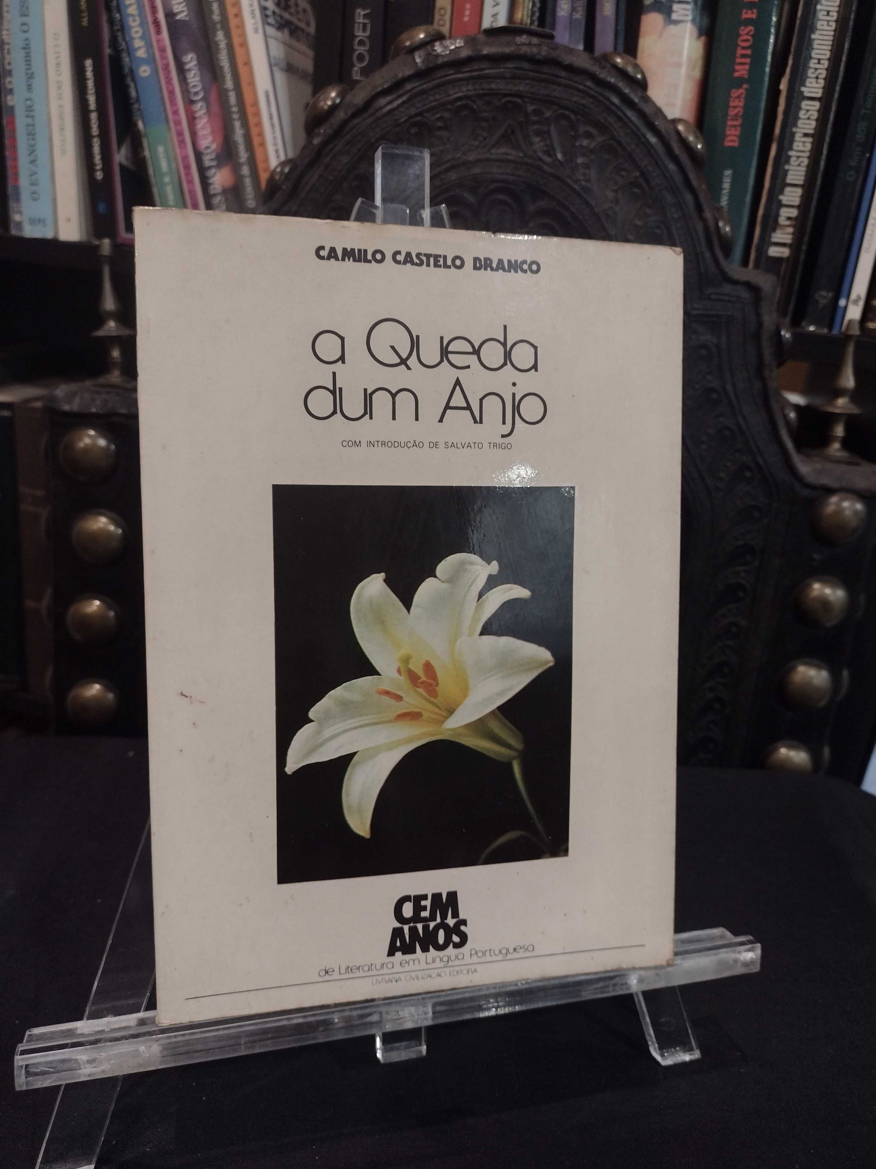 A Queda dum Anjo - Camilo Castelo Branco