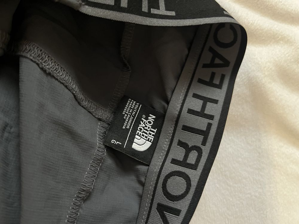 Штаны the north face, tnf, тнф, идельаное состояние