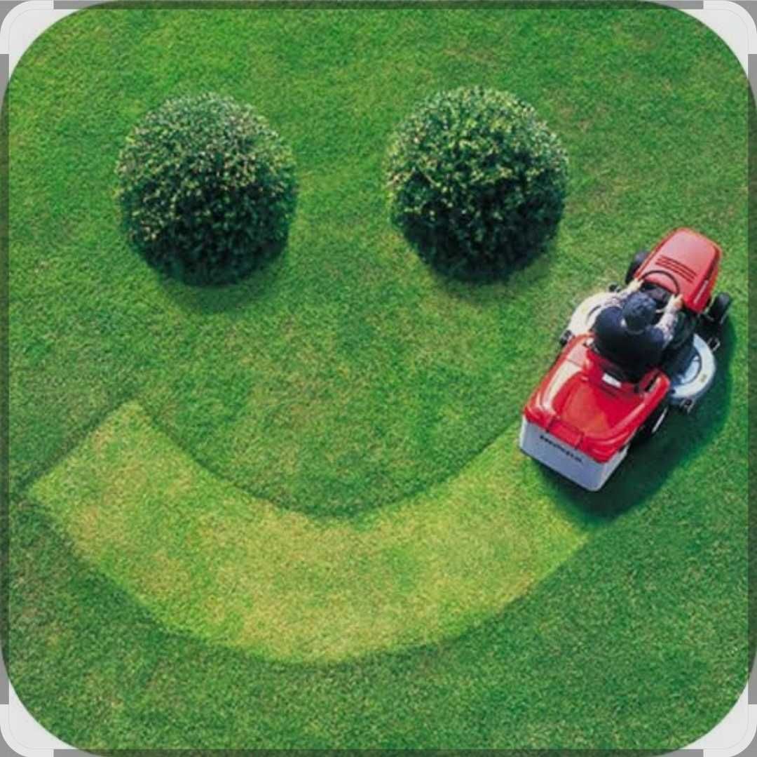 Manutenção Jardins ( preços 45€)