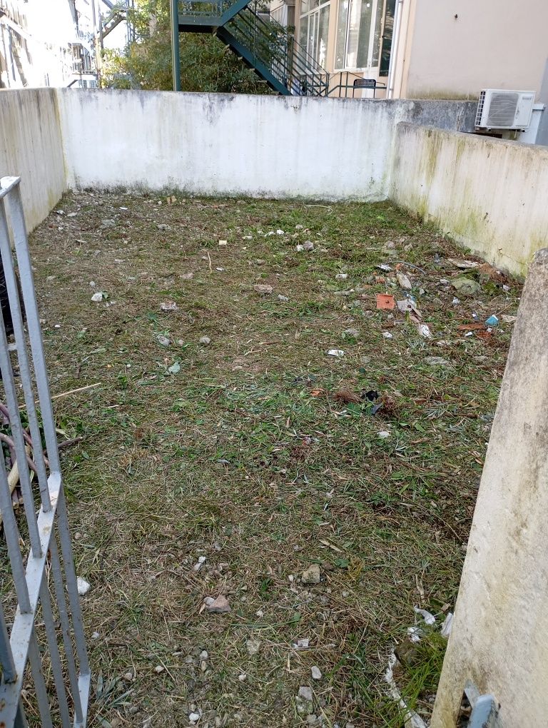 Faco manutenção de jardins, desmatação,podas e abates de árvores.obr