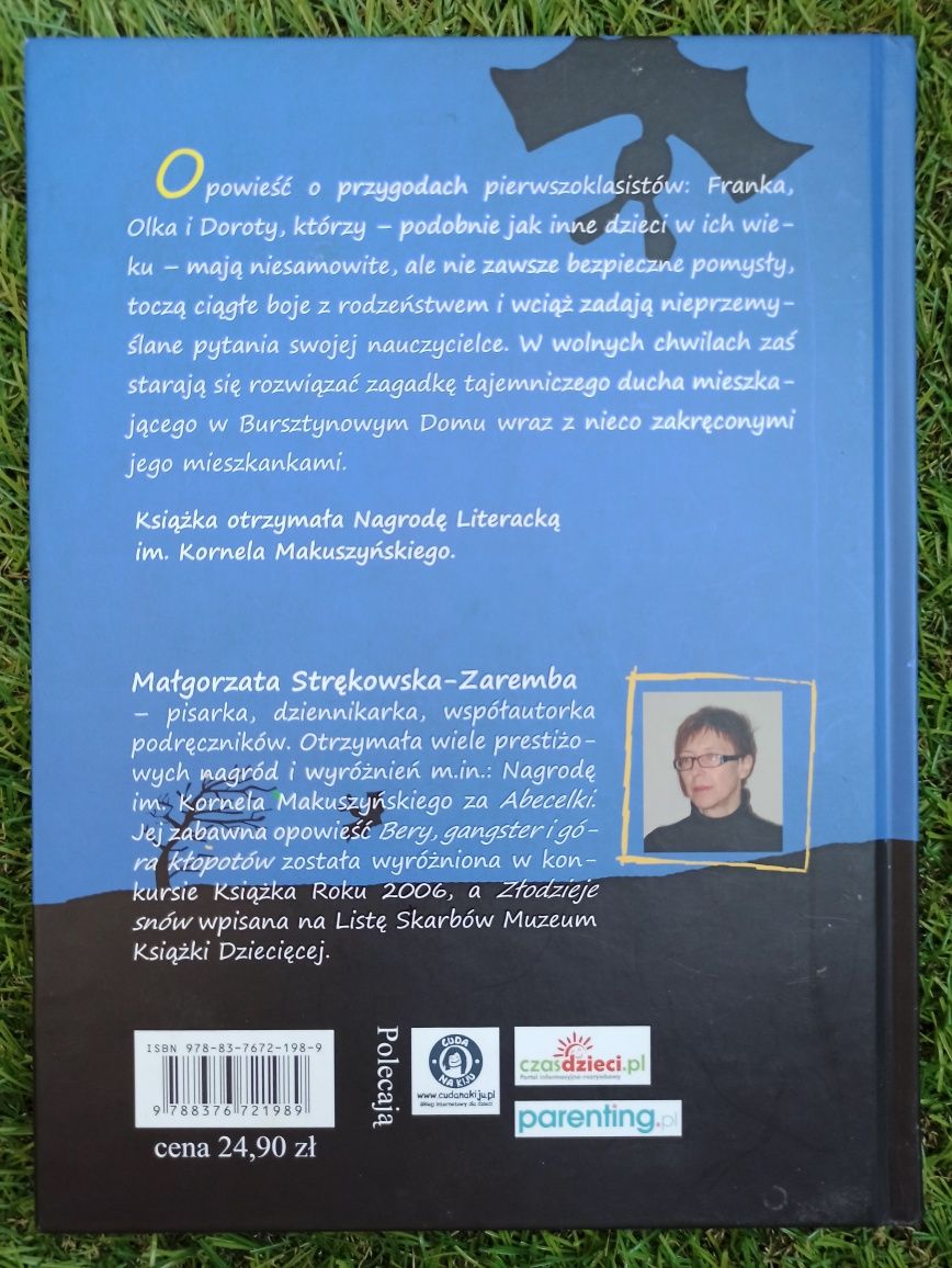 Abecelki i Duch Bursztynowego Domu książka dla dzieci