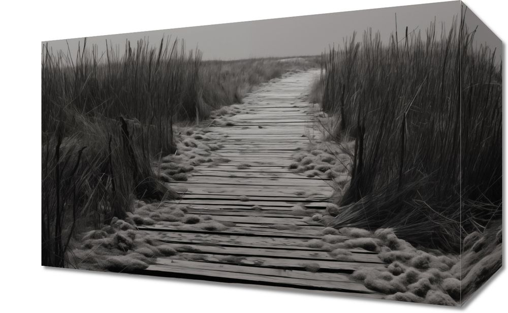 Obraz 30x20cm Ścieżka Ciszy Wydm