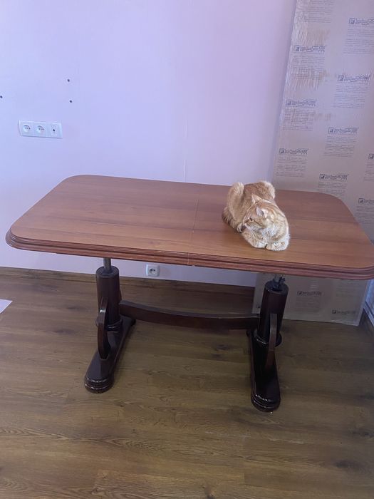 Продам стол деревянный раскладной !!