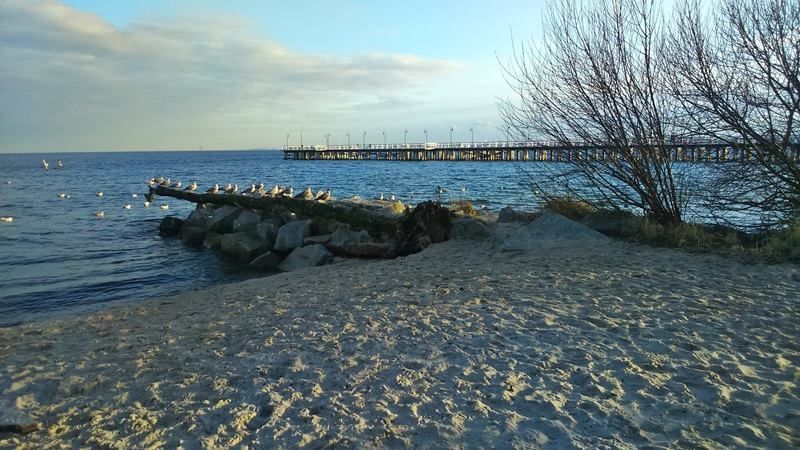 Wynajmę pokoje turystom w Gdyni Orłowie (blisko do plaży oraz klifu)