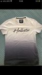 T shirt hollister nova