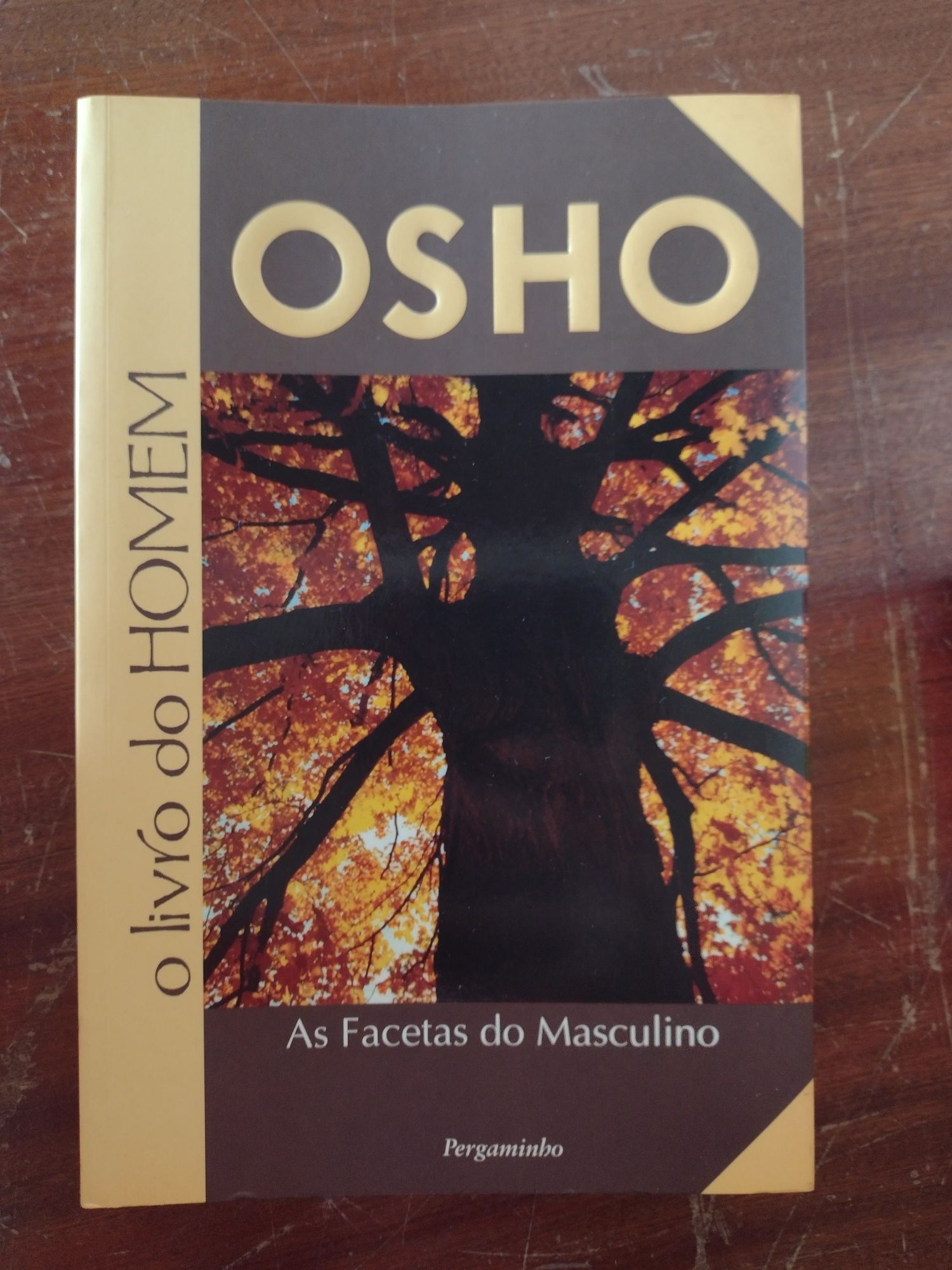 Livo OHSO as facetas do masculino