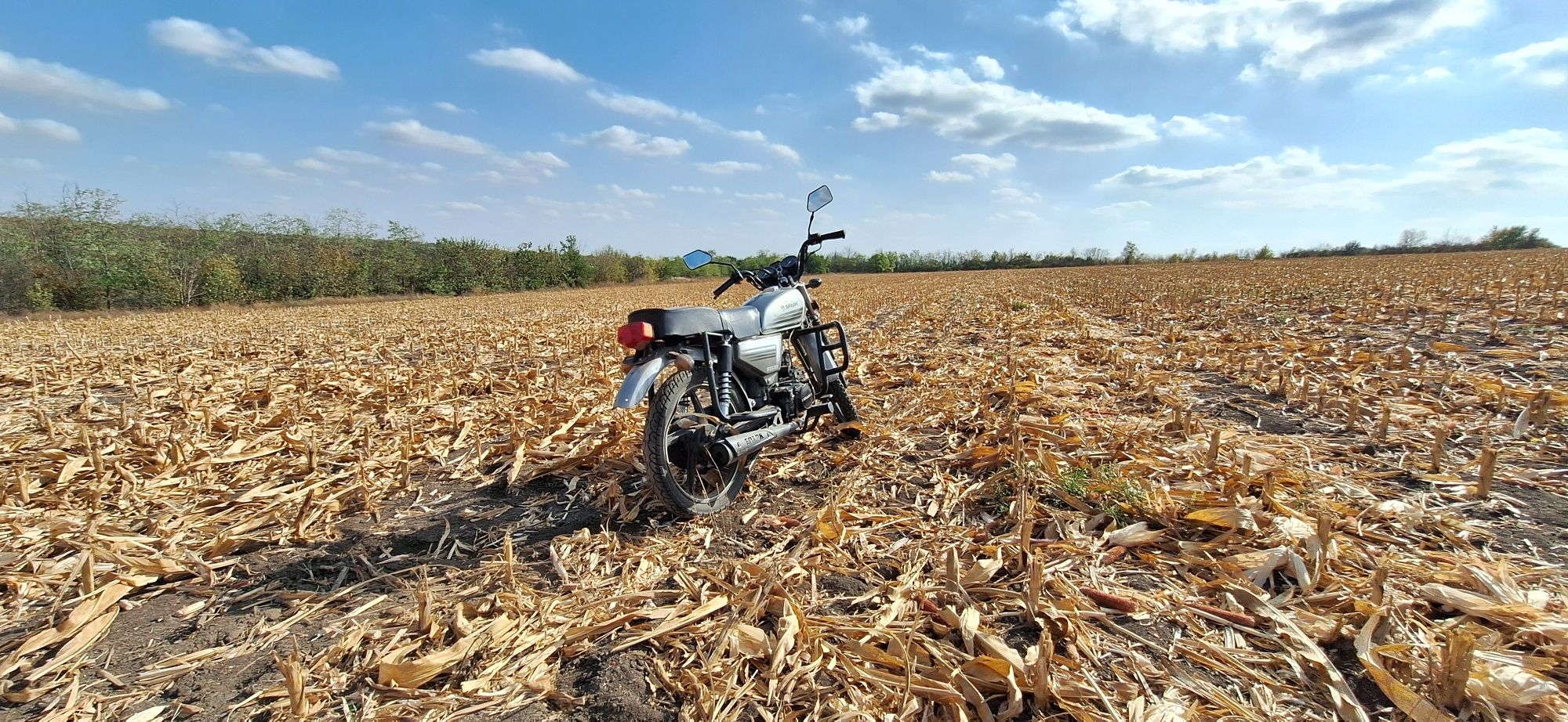 Альфа(спарк) 125