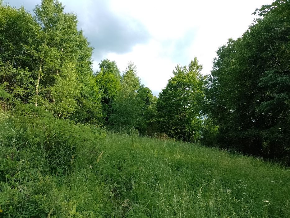 Pilnie sprzedam ZAWOJA Działka rolna. Inwestycja