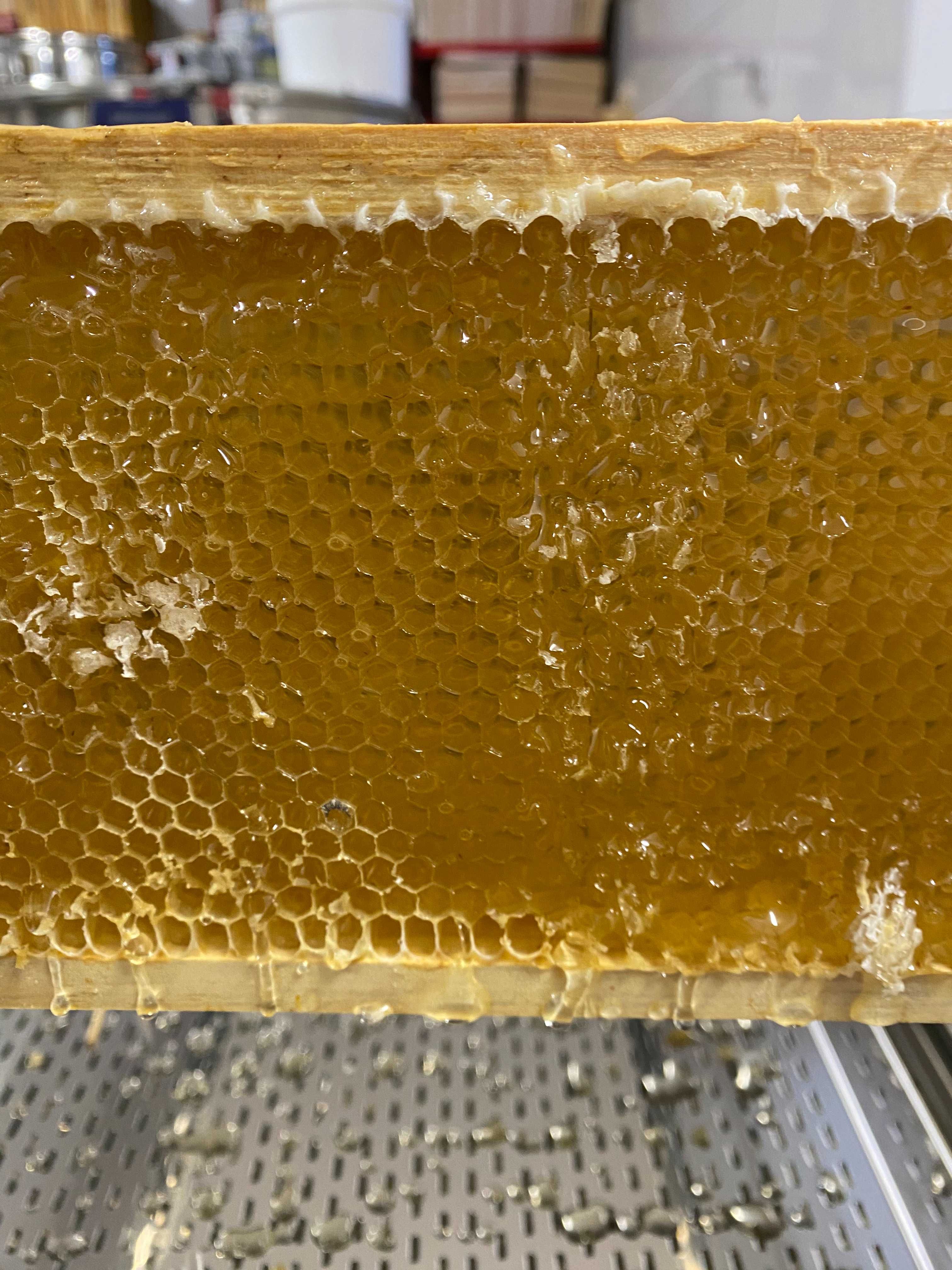 Miód Nektarowo-Spadziowy z własnej pasieki 1,2 kg