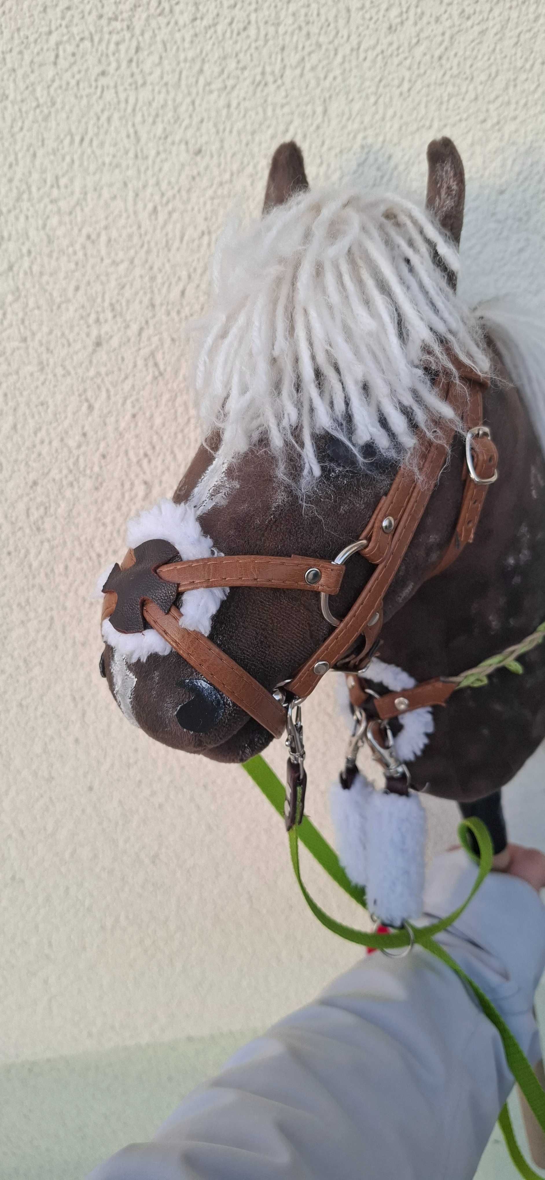 Hobby horse ze sprzętem karo-srebrny kht AHL ~Rival Star~ Orion