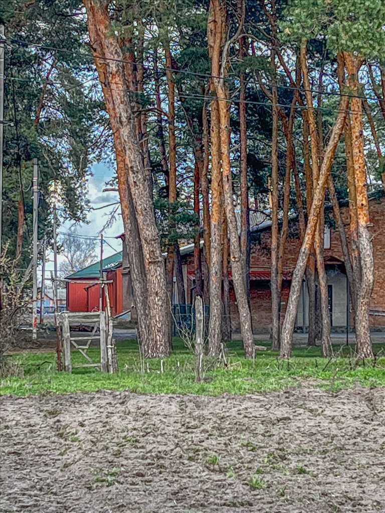 Окремий будинок у передмісті