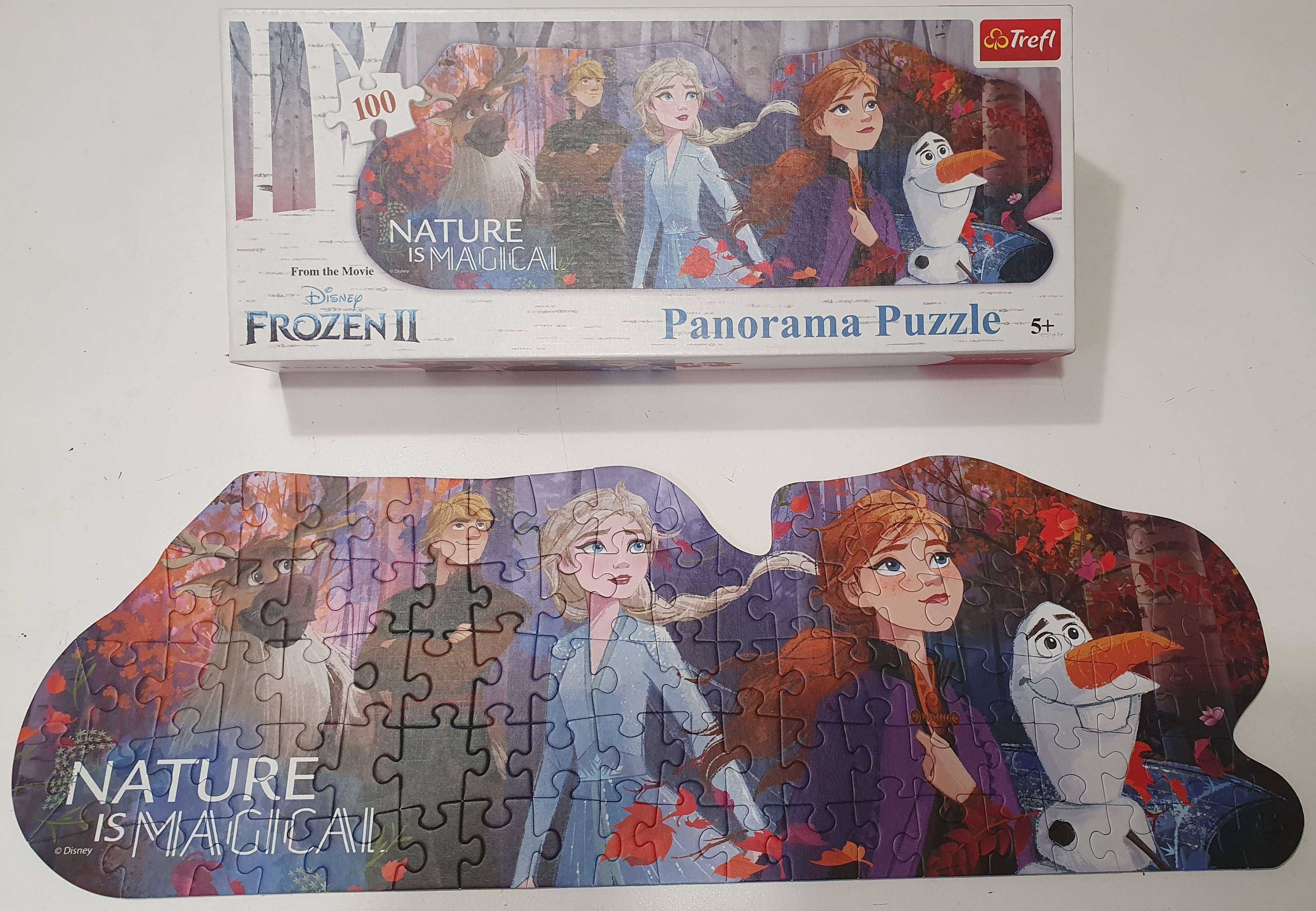 puzzle Kraina Lodu, 100 elementów, panorama