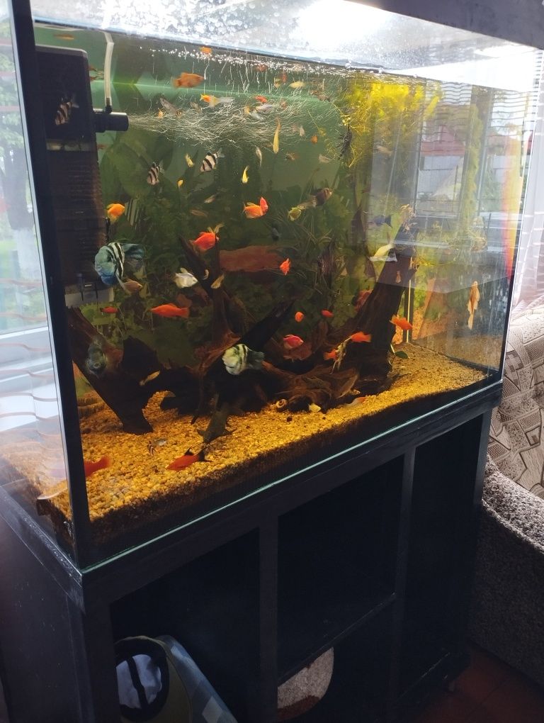 Продам Акваріум 350л