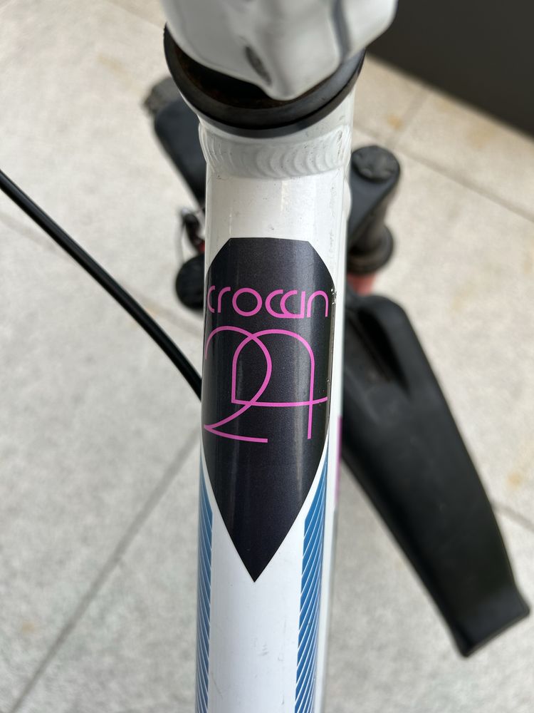 Rower Diamant Crown 24