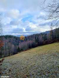 Działka w Górach Gorce-Pieniny z pięknym widokiem