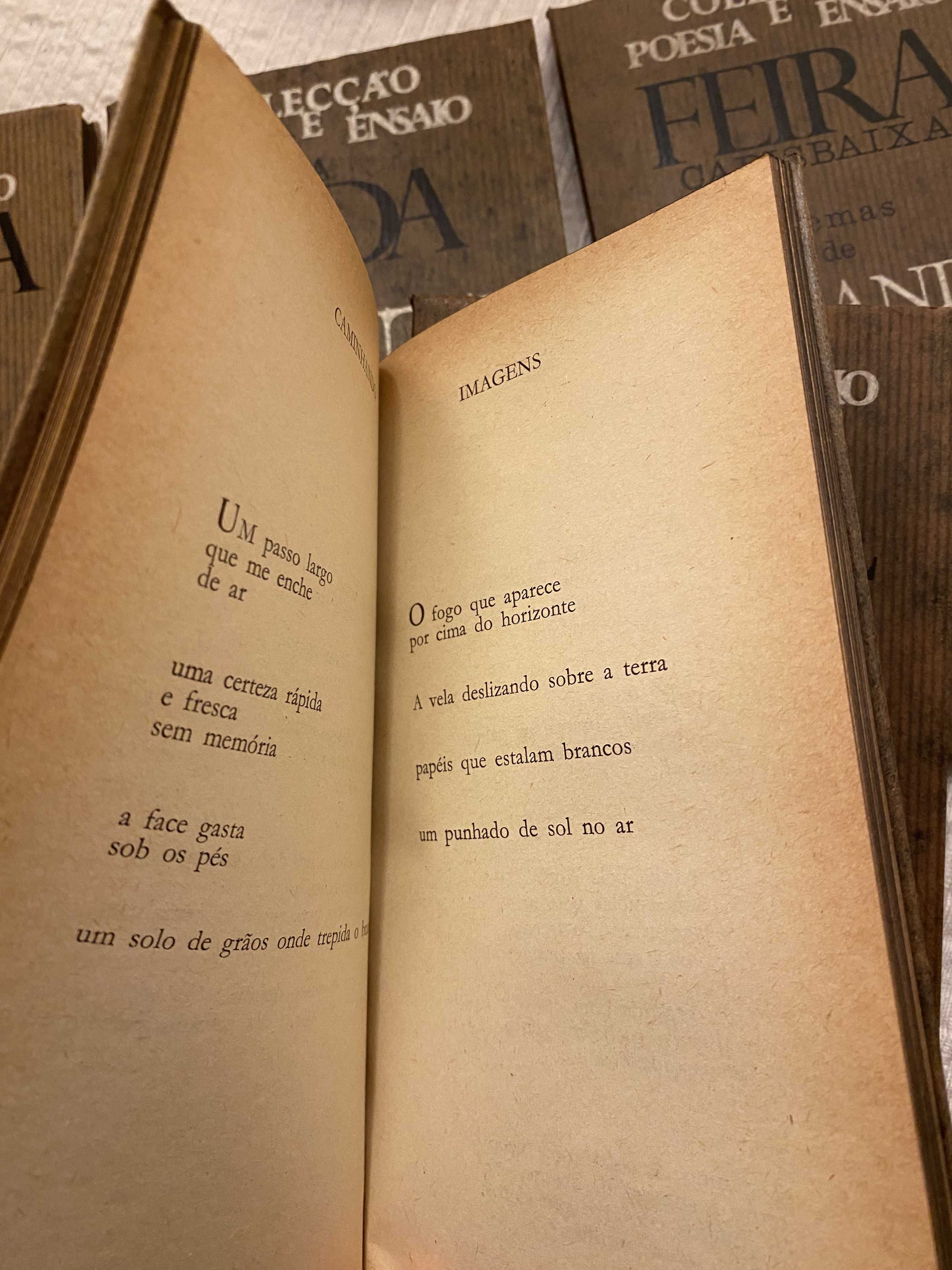 Colecção Poesia e Ensaio (Vol 3, 5, 6, 11, 12) 1965 - Editora Ulisseia