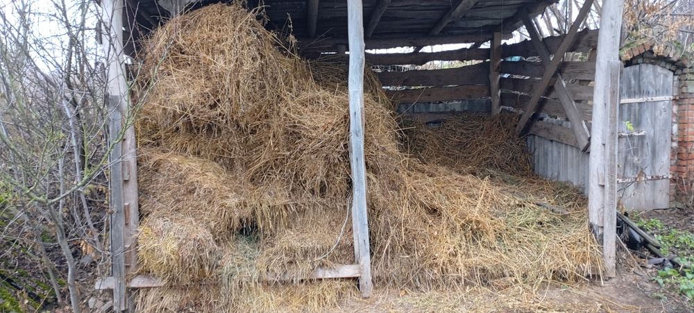 Продам сіно ціна договірна