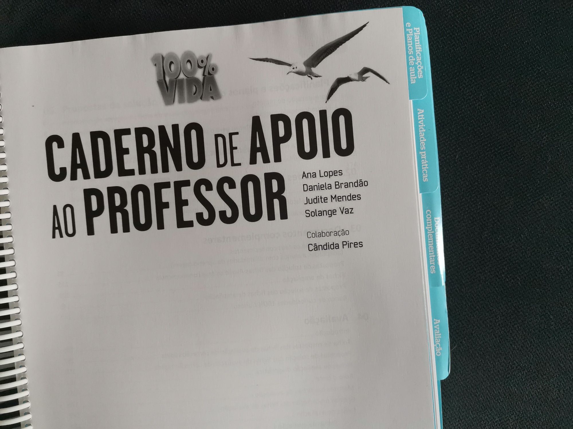 Caderno de apoio ao professor e ao estudo