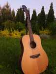 Gitara takamine GD20 NS Zamiana