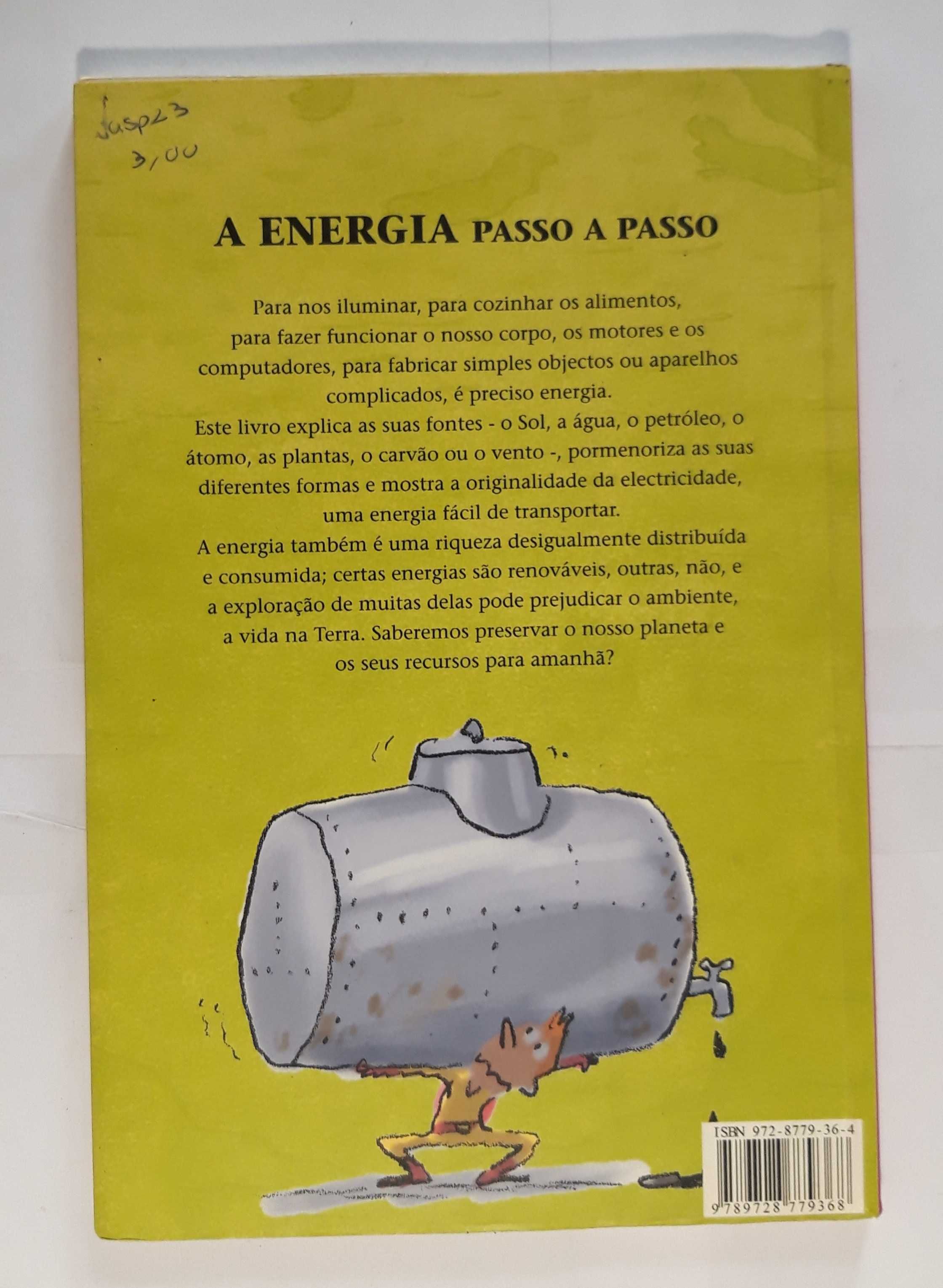 Livro  Ref:PVI - François Michel - A Energia Passo a Passo