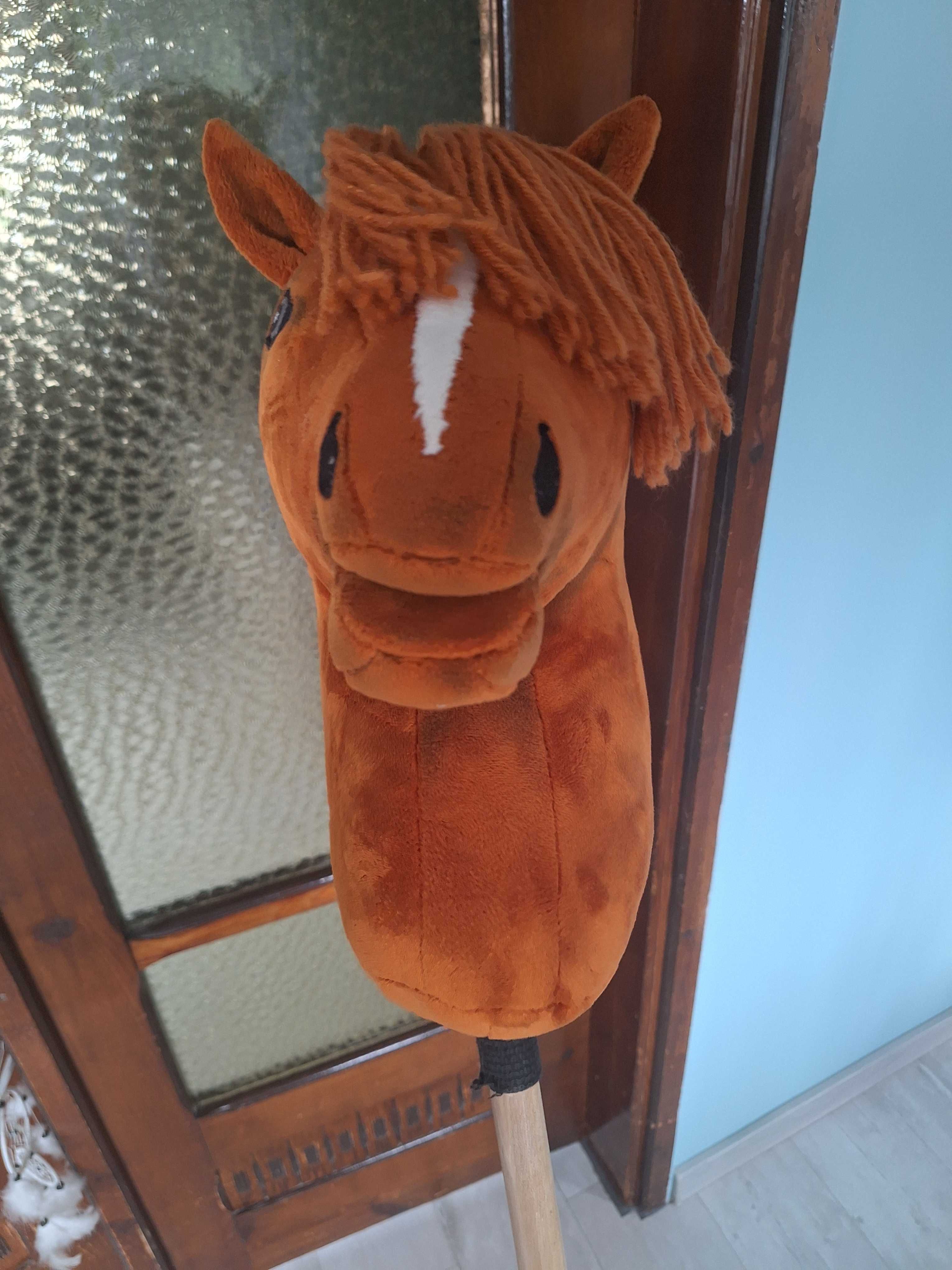 Hobby horse A3 rudy