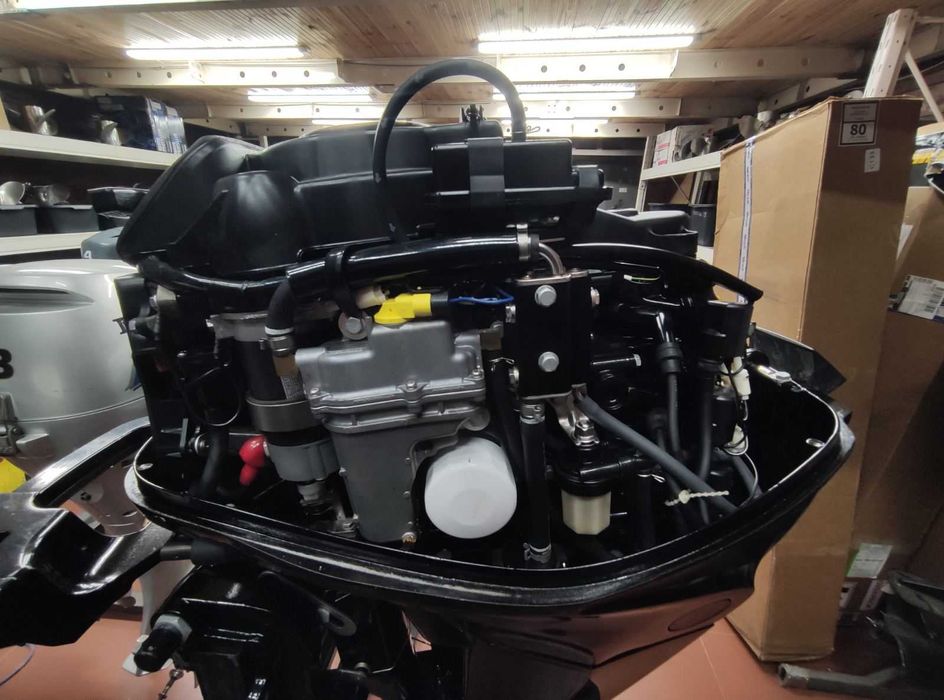 Лодочный мотор Mercury EFI25 L