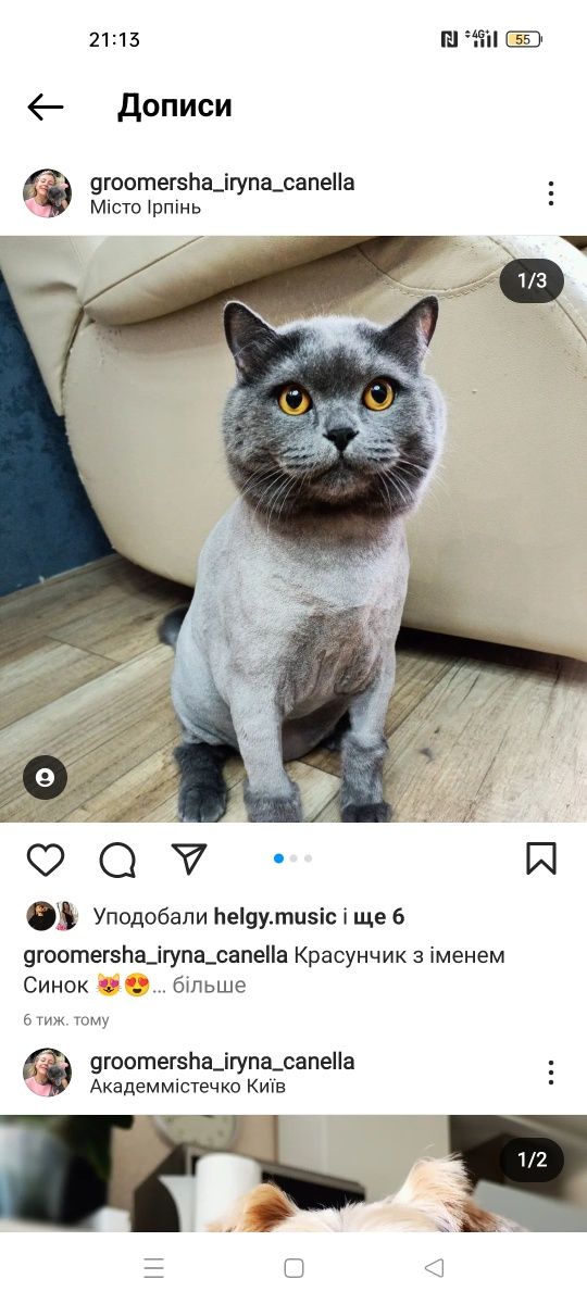 Котячий грумер, грумінг для кота,правий берег,тиха машинка