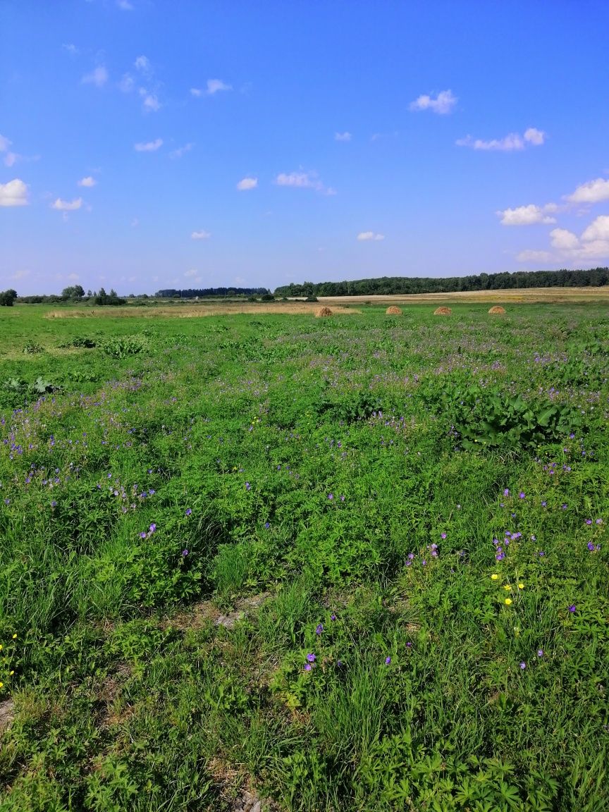 Продаж земельної ділянки під забудову