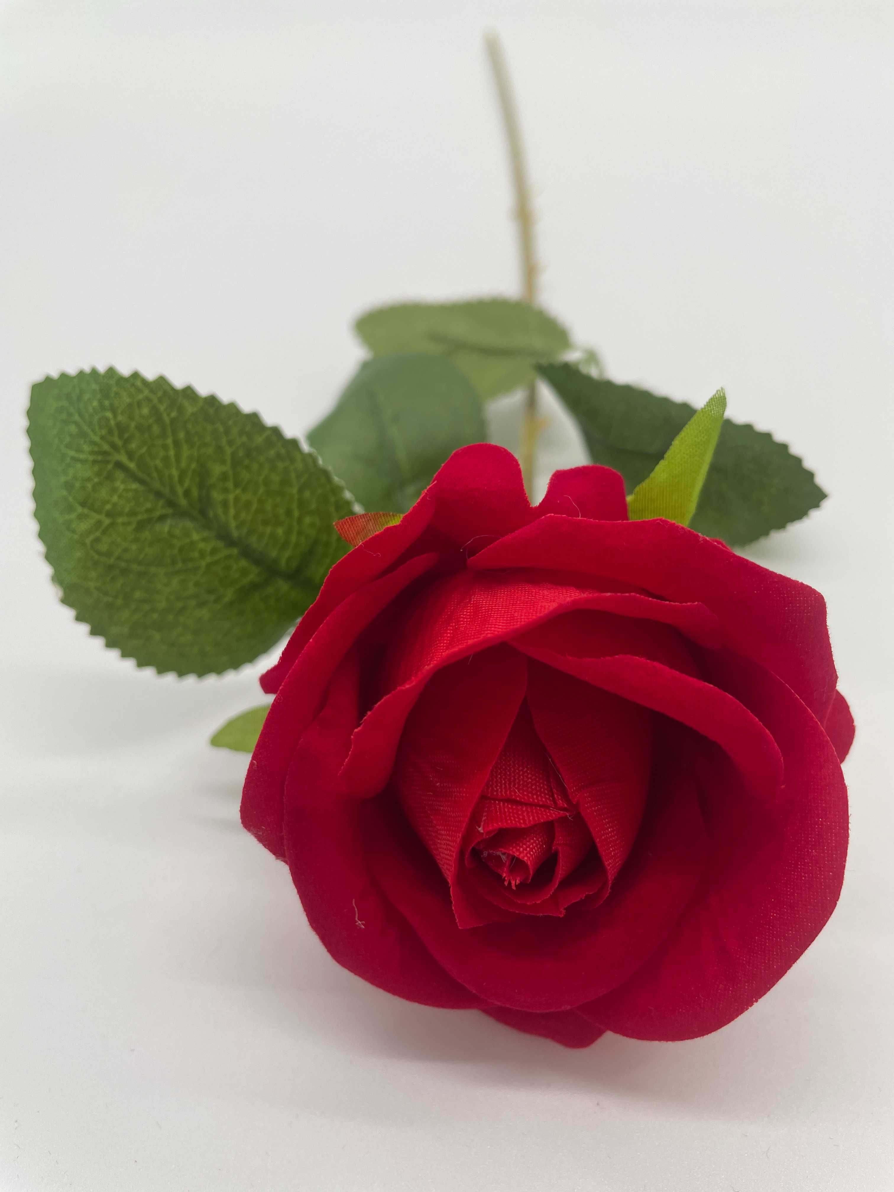 Róża 50 cm CZERWONA