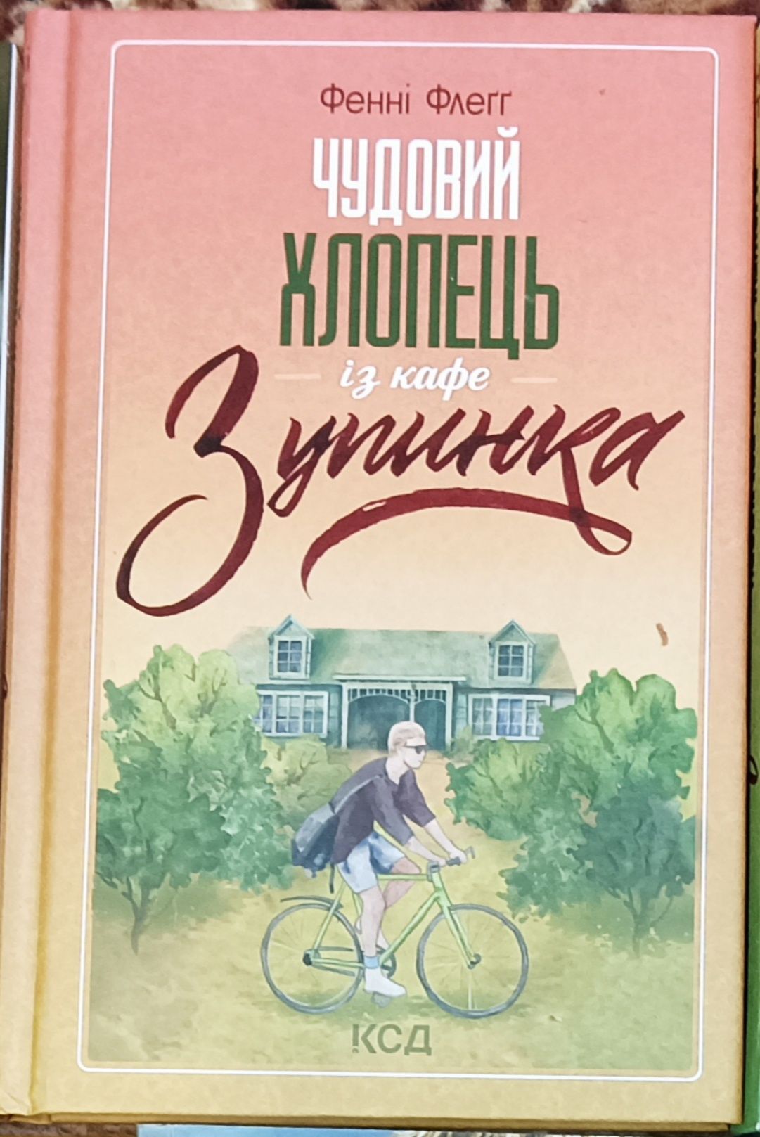 Книги українською Фенні Флег, Володимир Лис