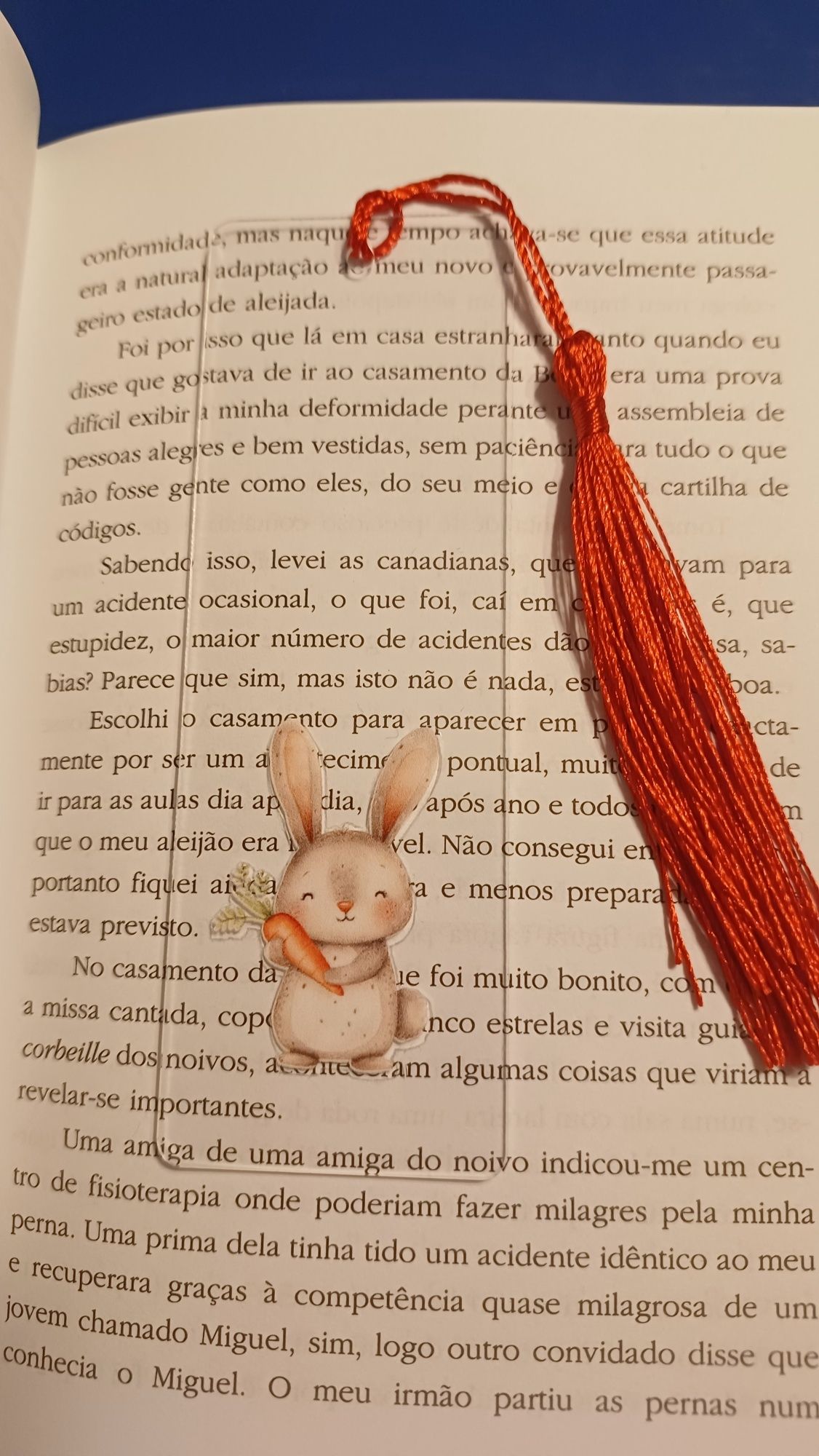 Marcadores de livros