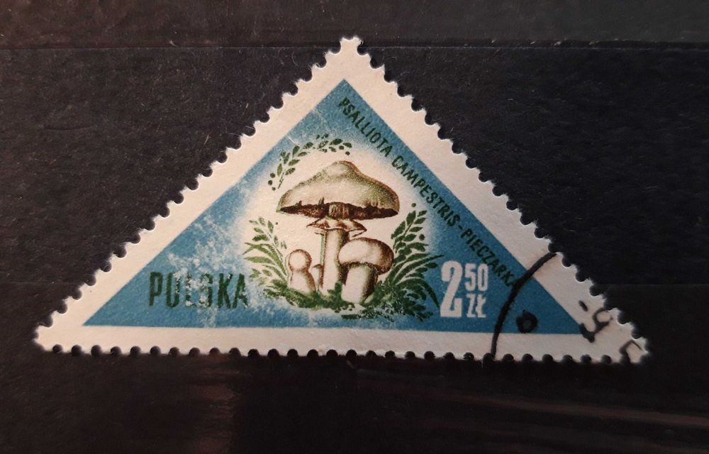 Usterka. Znaczek pocztowy Fi 953. Grzyby. Kasowany.