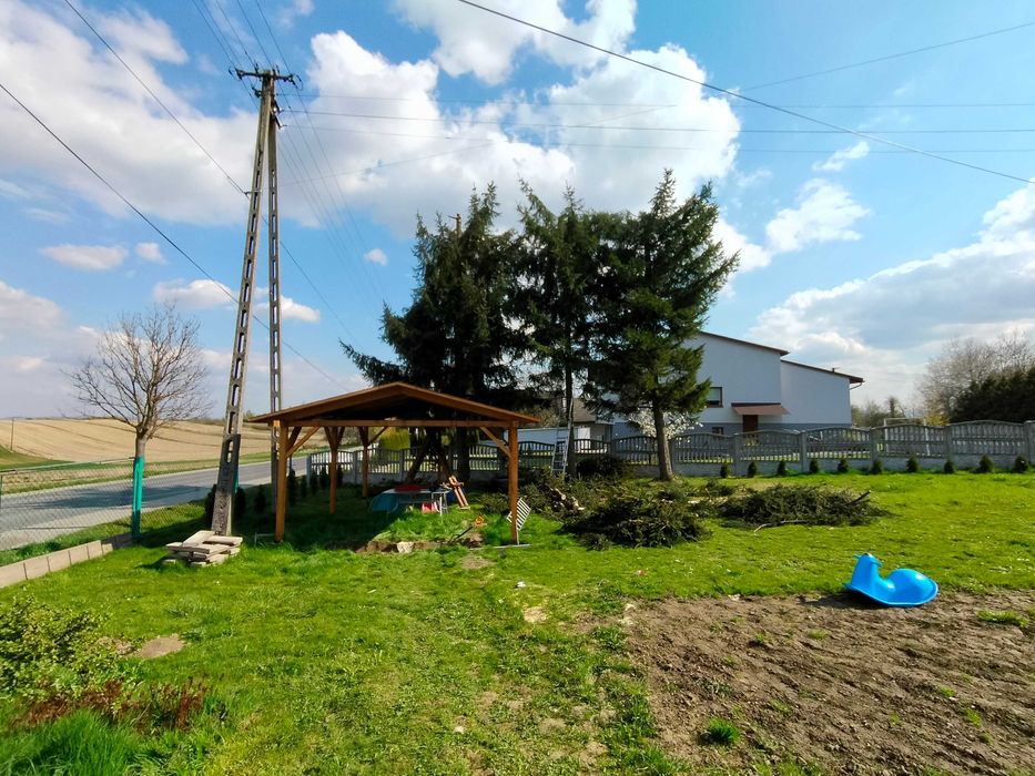 Wycinka i pielęgnacja drzew metodą alpinistyczną arborysta