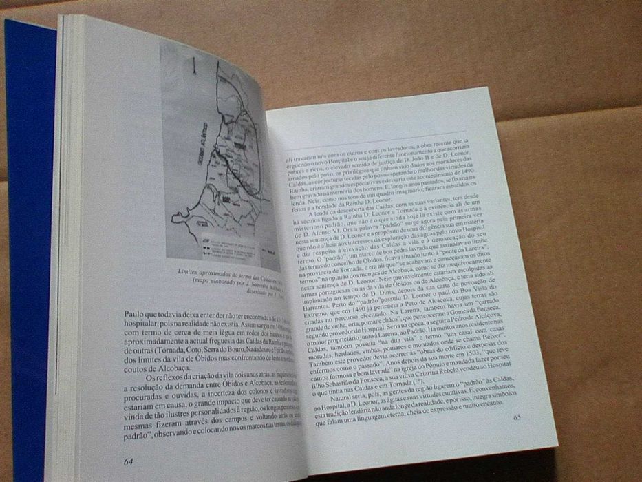 Terra de águas : Caldas da Rainha, história e cultura