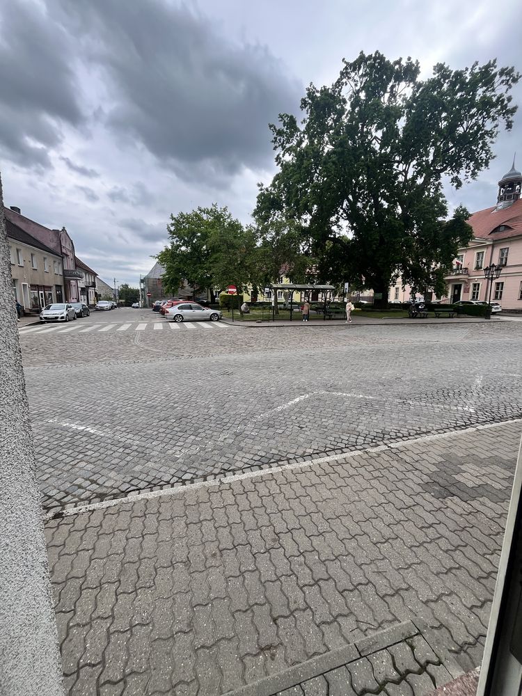Lokal do wynajecia