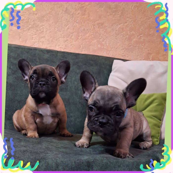 Веселі та добрі малята