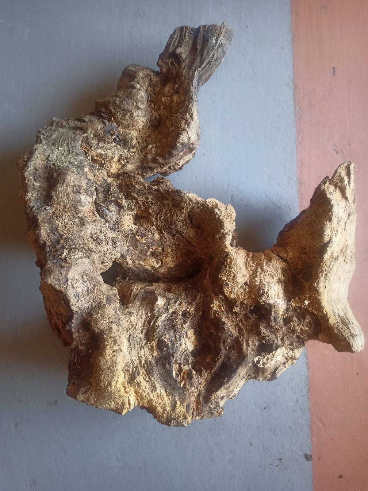 Кап акації (кап акации),  сувель, заготовка рукоятки для ножа.