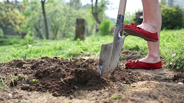 12 TON PROFESJONALNA ZIEMIA Ogrodowa razem z dostawą Katowice
