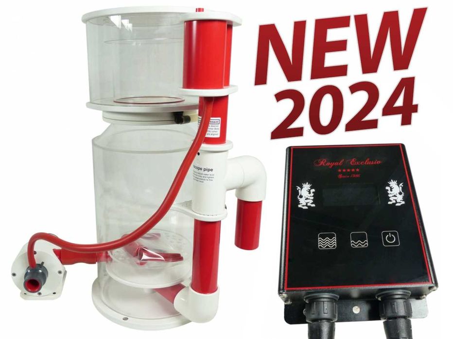 Royal Exclusiv Bubble King Deluxe 250 – Usado, Excelente Qualidade