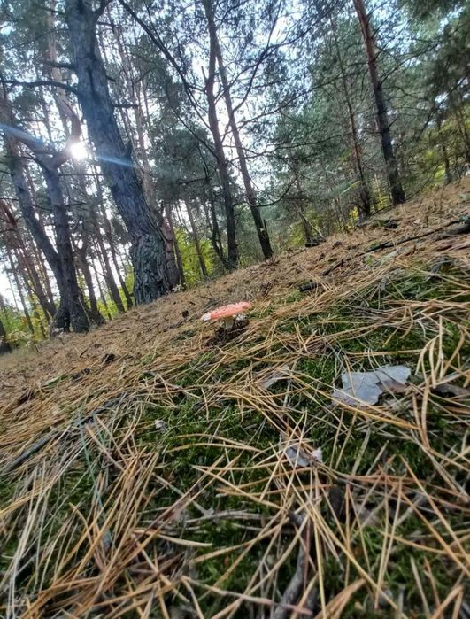 Аренда дома посуточно возле озера, ЧАН, Днепр