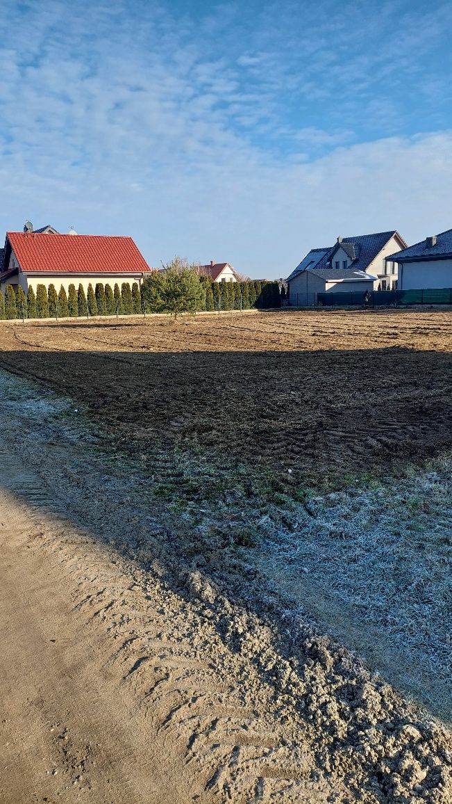 Wycinka drzew, Karczowanie, czyszczenie działek,
