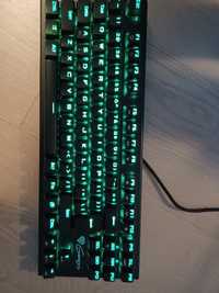 Klawiatura genesis thor 300 tkl